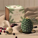 Frasier Fir Pinecone-Shaped Candle with Tray - Thymes - The Shops at Mount Vernon