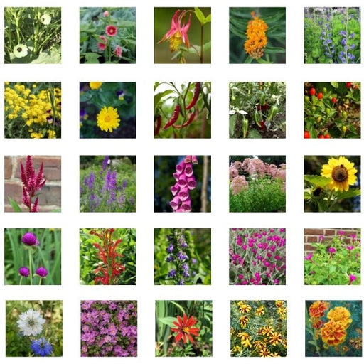 Heirloom Seed Assortment - 26 Varieties - Special Value - The Shops at Mount Vernon