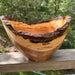Historic Wood Bowl - White Oak #22 - The Shops at Mount Vernon