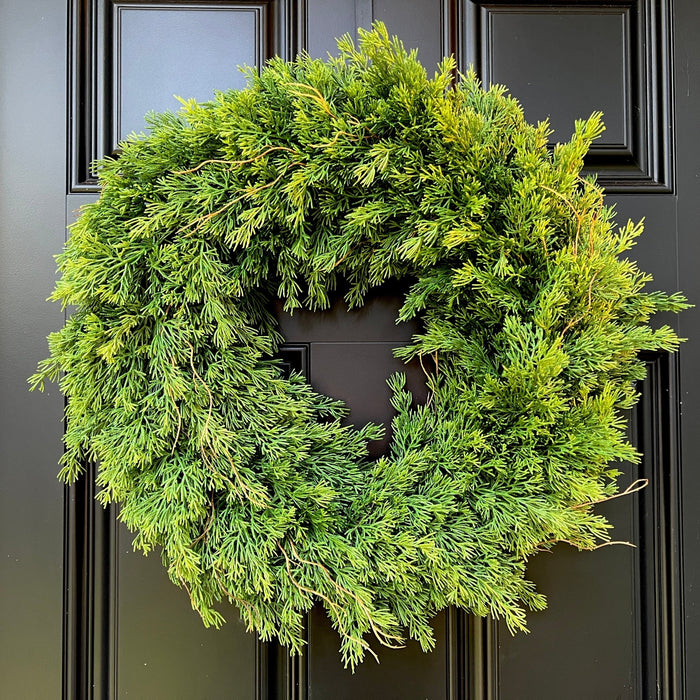 Holiday Cedar Wreath - 22" Wreath - The Shops at Mount Vernon
