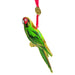 Mount Vernon Parrot 3D Ornament - DESIGN MASTER ASSOCIATES - The Shops at Mount Vernon