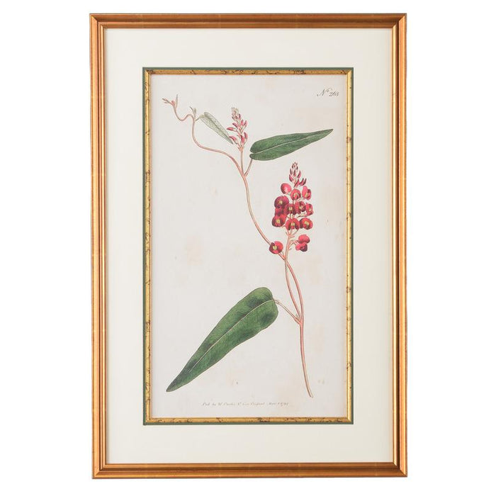 Native Lilac Botanical Print - The Shops at Mount Vernon
