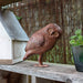 Saw Whet Owl Garden Statue - Achla Designs - The Shops at Mount Vernon