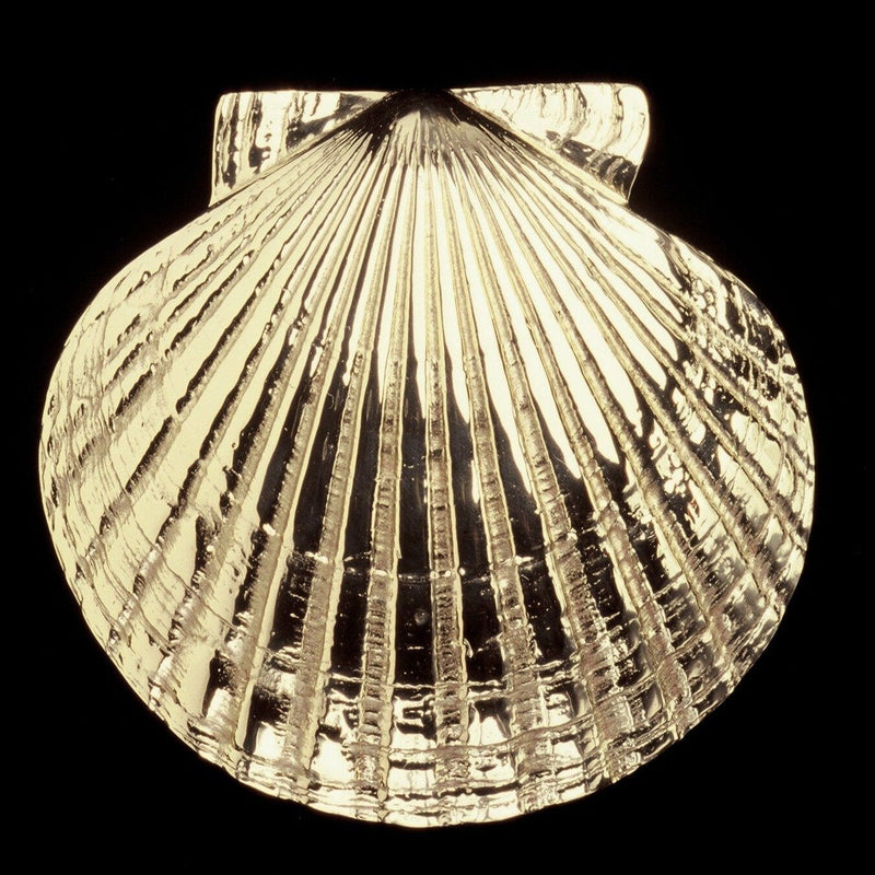Scallop Door Knocker - Colby Smith - The Shops at Mount Vernon