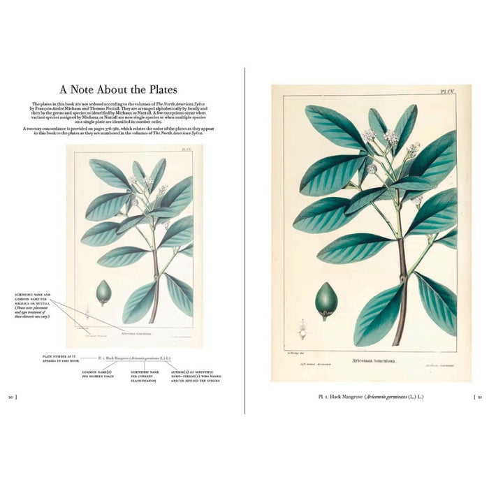 The Trees of North America - W.W. NORTON & CO. - The Shops at Mount Vernon