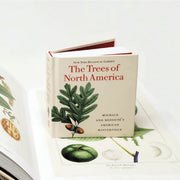 Trees of North America - Tiny Folio - W.W. NORTON & CO. - The Shops at Mount Vernon