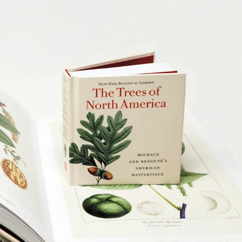 Trees of North America - Tiny Folio - W.W. NORTON & CO. - The Shops at Mount Vernon