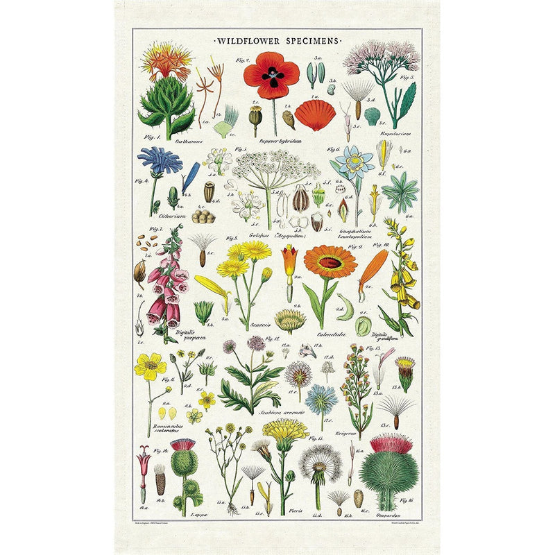 Wildflowers Tea Towel - Cavallini Papers & Co. Inc - The Shops at Mount Vernon