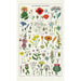 Wildflowers Tea Towel - Cavallini Papers & Co. Inc - The Shops at Mount Vernon